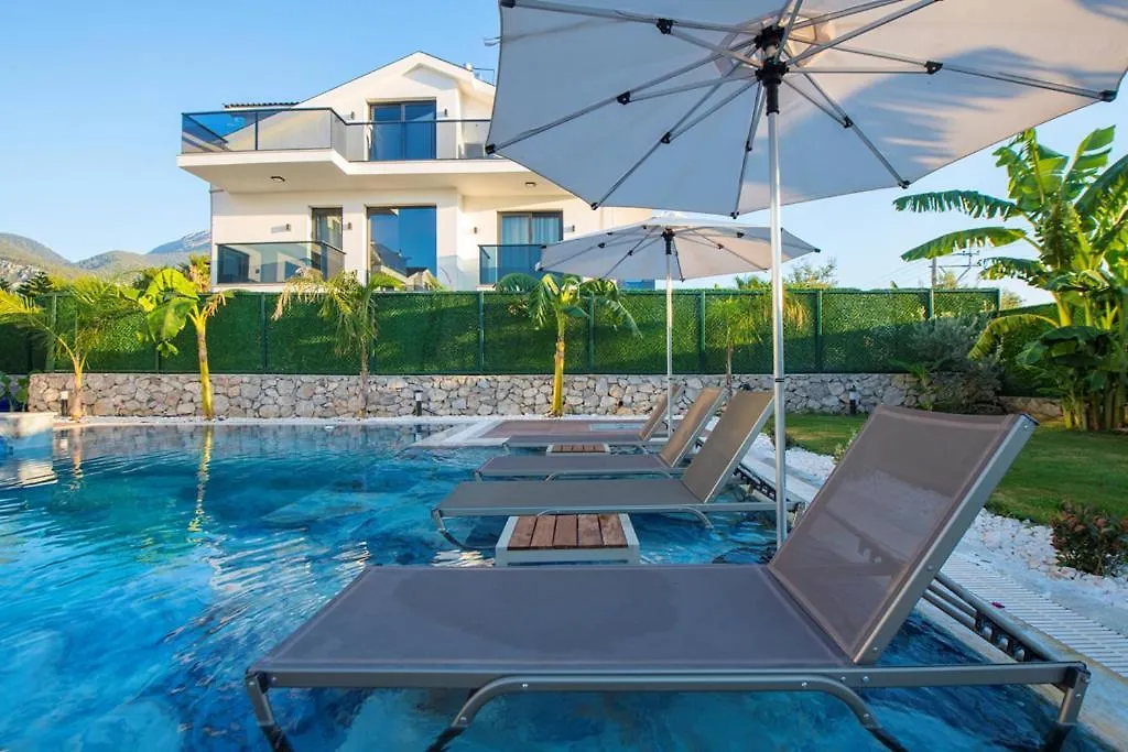 Villa Carya Oeluedeniz Фетхие Турция