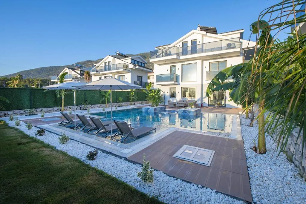 Villa Carya Oeluedeniz Фетхие