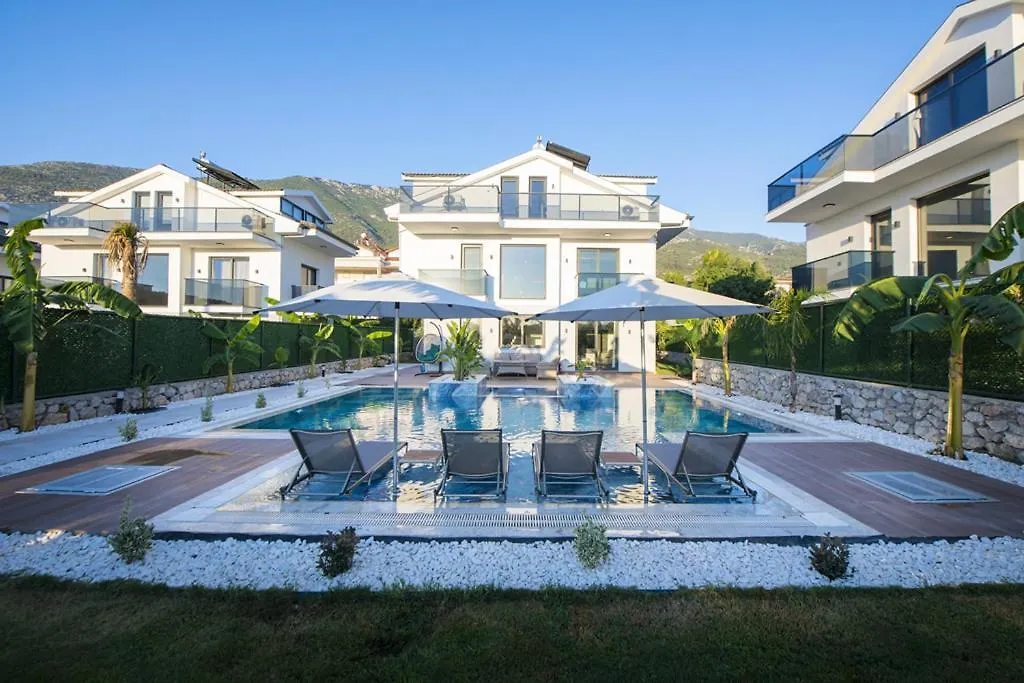 Villa Carya Oeluedeniz Фетхие