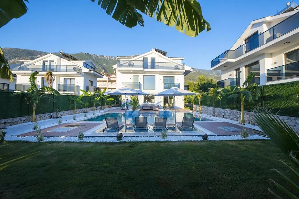 Villa Carya Oeluedeniz Фетхие